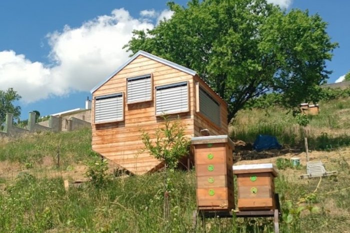 Ilustračný obrázok k článku Nitra má novú atrakciu: Včelí domček ponúkne exkurzie, pripravujú aj pobyty