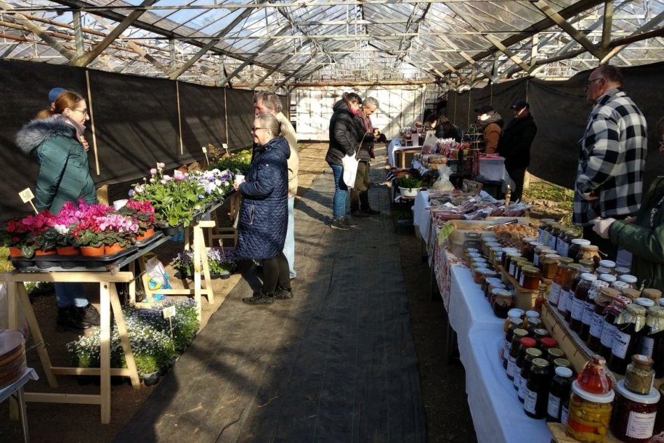 Ilustračný obrázok k článku V Nitre OTVORILI farmársku tržnicu: Sedlácky rinek ponúka ČERSTVÉ a lokálne dobroty