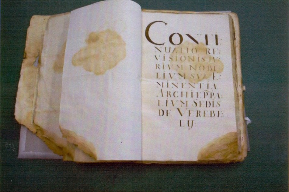 Ilustračný obrázok k článku Vzácny kúsok prežil storočia: Štátny archív v Nitre má zreštaurovanú knihu z roku 1699