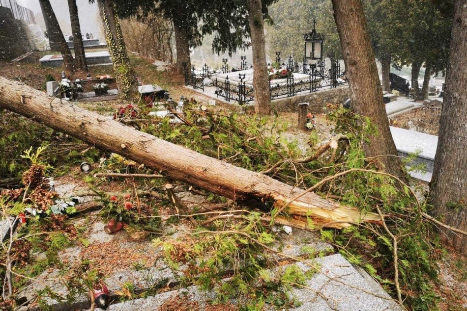Ilustračný obrázok k článku V meste zaznamenali EXTRÉMNE silné nárazy vetra: Stromy popadali aj na cintorín, FOTO