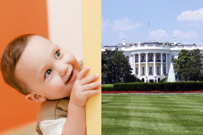 Ilustračný obrázok k článku Agenti chytali malého narušiteľa: Cez plot Bieleho domu sa pretlačilo zvedavé BATOĽA