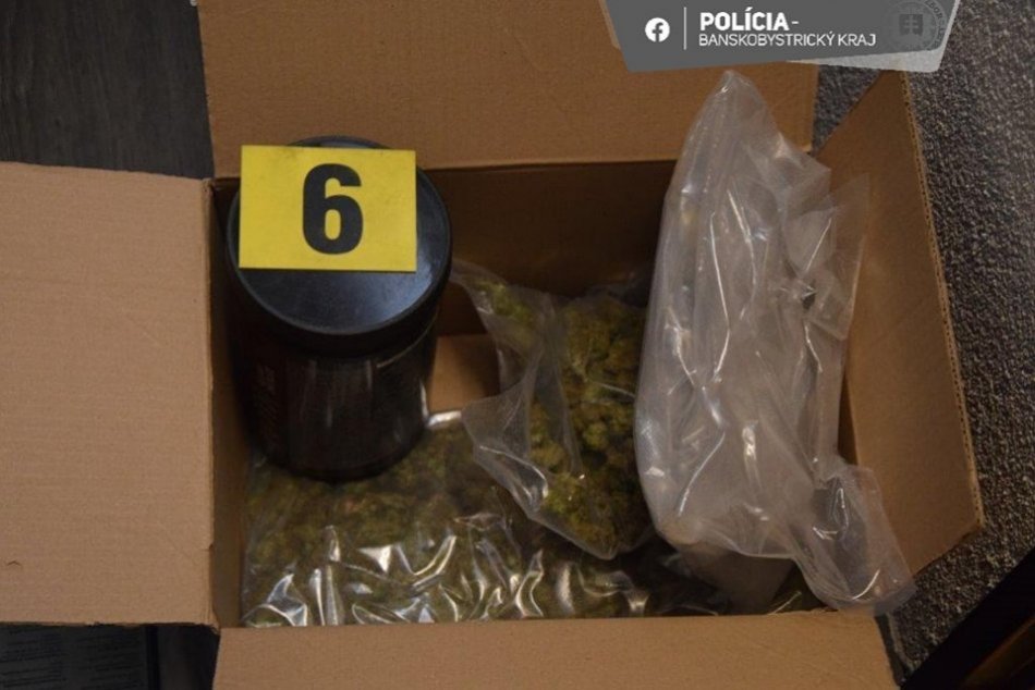 Ilustračný obrázok k článku Zvolenčanovi našla polícia drogy za 26-tisíc eur: Zaistili mu marihuanu aj kokaín, FOTO