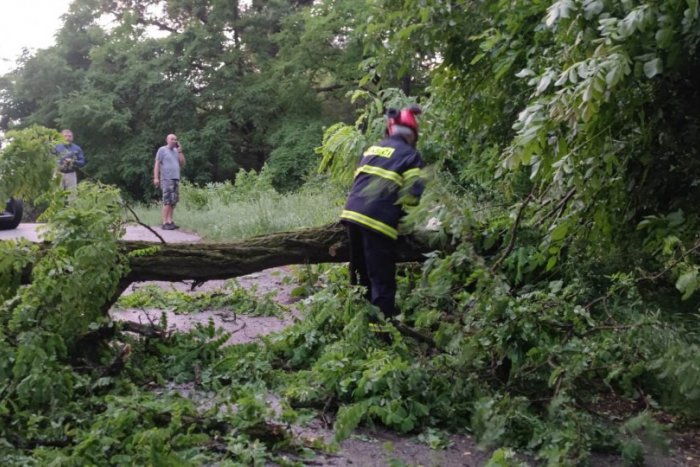 Ilustračný obrázok k článku Blesková búrka polámala stromy: V Trnavskom kraji zasahovalo vyše 200 hasičov!
