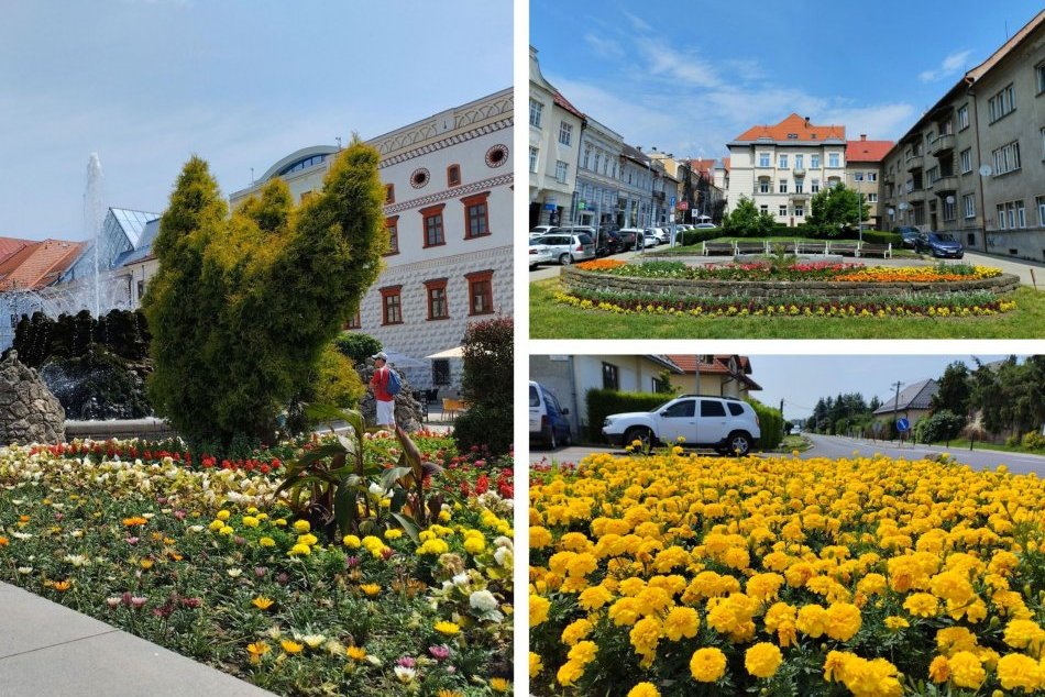 Ilustračný obrázok k článku Všimli ste si tú NÁDHERU? Bystrické centrum aj sídliská hýria farbami kvetov, FOTO