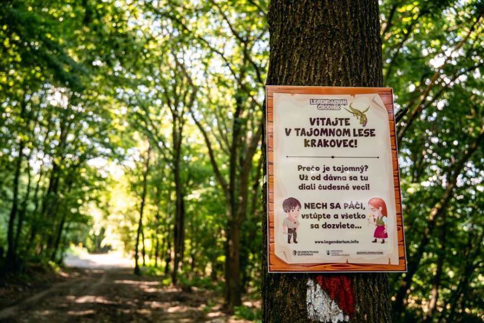 Ilustračný obrázok k článku Turisti v Prešovskom kraji môžu vyskúšať NOVINKU: Trúfnete si na Tajomný les Krakovec? FOTO