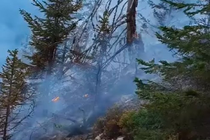 Ilustračný obrázok k článku Zásah hasičov v Nízkych Tatrách: POŽIAR vypukol v ťažko prístupnom teréne, VIDEO