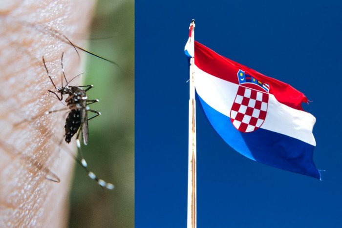 Ilustračný obrázok k článku Komáre v Chorvátsku prenášajú NEBEZPEČNÉ choroby: Bojujú proti nim nezvyčajnou metódou