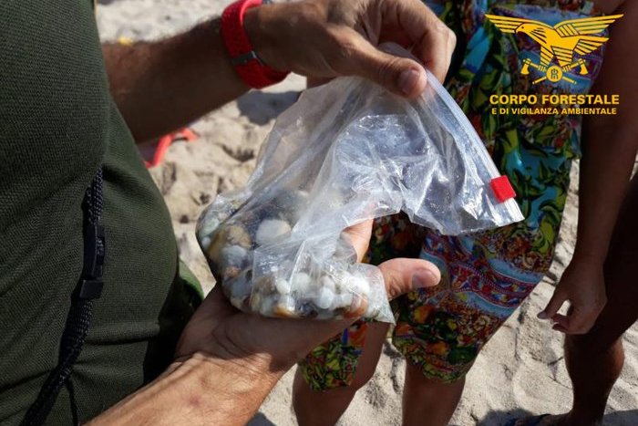 Ilustračný obrázok k článku Poriadne DRAHÁ hrsť kamienkov z pláže: Turista chcel suvenír, dostal mastnú POKUTU!