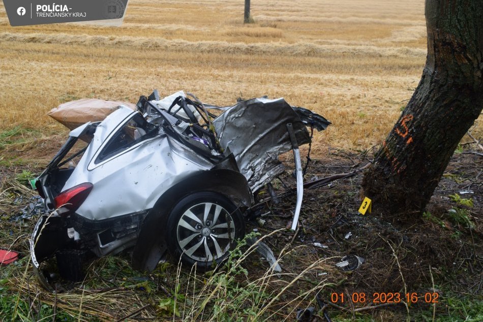 Ilustračný obrázok k článku SILNÝ náraz do stromu roztrhol auto na dve časti: ZÁZRAK, ako dopadol šofér! FOTO