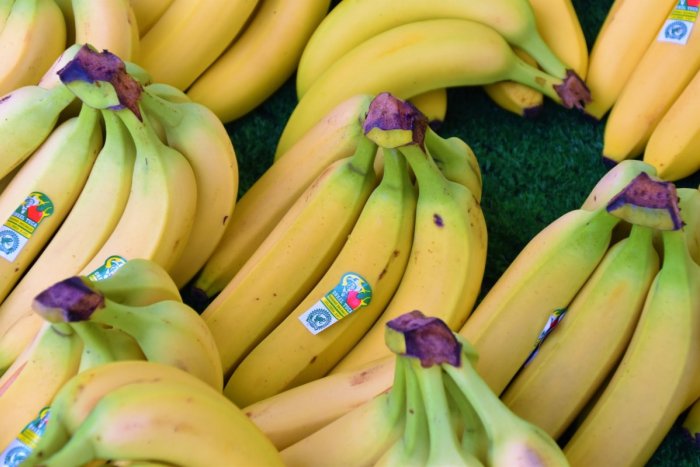 Ilustračný obrázok k článku Banány plné KOKAÍNU za 83 miliónov: Šokujúci NÁLEZ v sklade obchodného reťazca Albert