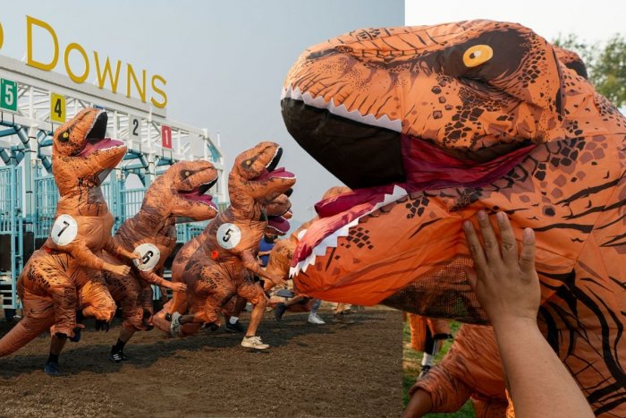 Ilustračný obrázok k článku KURIOZITA DŇA: Na dostihovej dráhe sa konal svetový šampionát tyranosaurov, FOTO