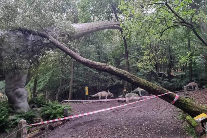 Ilustračný obrázok k článku Búrky s prívalovým dažďom spôsobili škody vo Veľkej Lomnici i košickej zoo