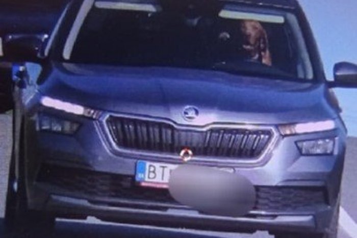 Ilustračný obrázok k článku Policajtom skoro vypadli oči: Za volantom v aute sedel PES!