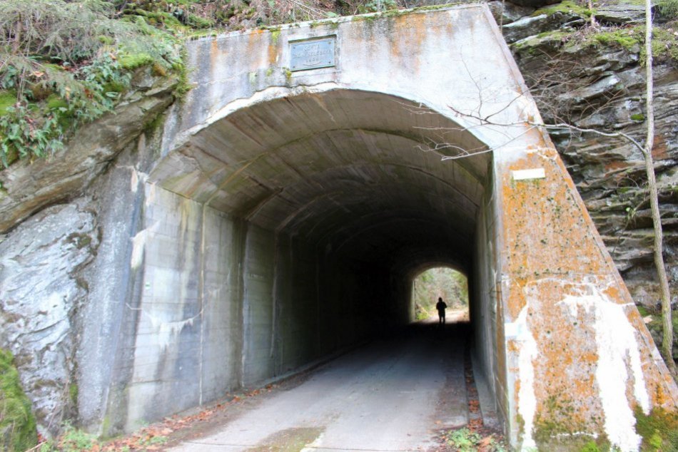 Ilustračný obrázok k článku Na Slovensku máme OJEDINELÝ tunel: Je UKRYTÝ v lese a má takmer 100 rokov,  FOTO