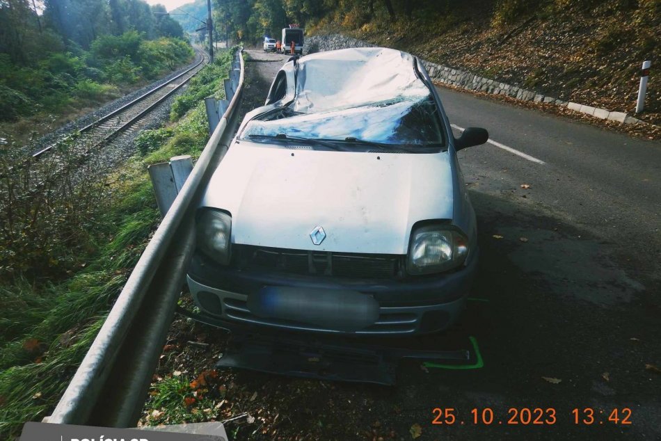 Ilustračný obrázok k článku Vodička zažila DESIVÚ nehodu: Na auto spadol STROM priamo za jazdy, FOTO