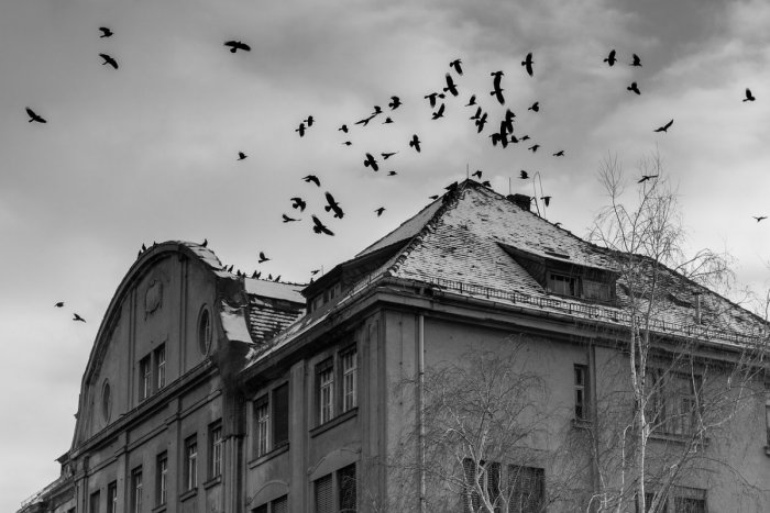 Ilustračný obrázok k článku Strašidelné príbehy z nitrianskeho domu: Študentky tam zažívali paranormálne javy