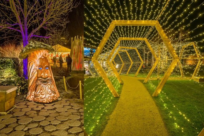 Ilustračný obrázok k článku Včelárska záhrada sa premení na Vianočnú: Zdobiť ju budú desiatky tisíc svetielok