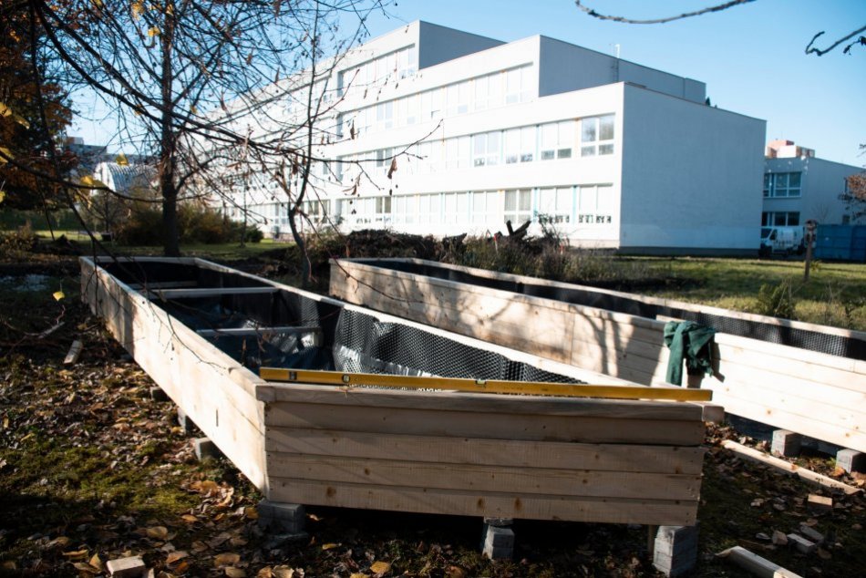 Ilustračný obrázok k článku Areál školy prechádza zmenami: Mesto z neho chce vytvoriť malý lokálny park