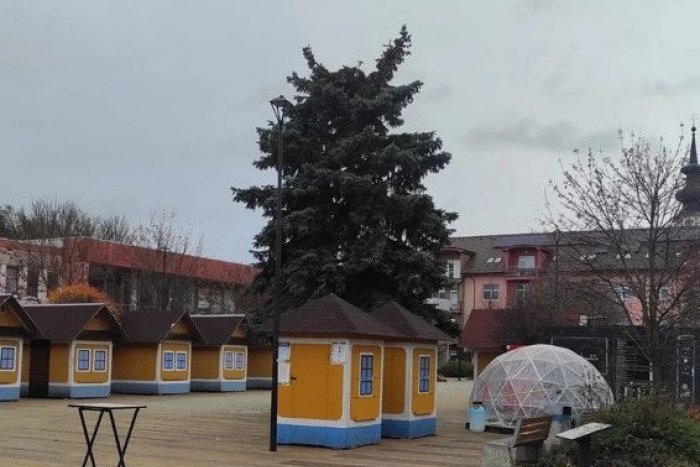Ilustračný obrázok k článku FOTO: Slováci sa bavia na stromčeku z Myjavy: Kam sa podel jeho VRCHOL?