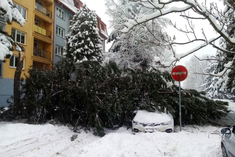Ilustračný obrázok k článku V Poprade sneh láme stromy! Pod nimi NEPARKUJTE, mesto zasiahla kalamitná situácia