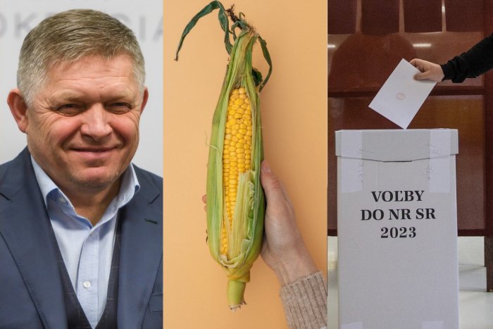 Ilustračný obrázok k článku Fico, voľby a ako dlho variť kukuricu: Čo Slováci v tomto roku googlili NAJČASTEJŠIE?