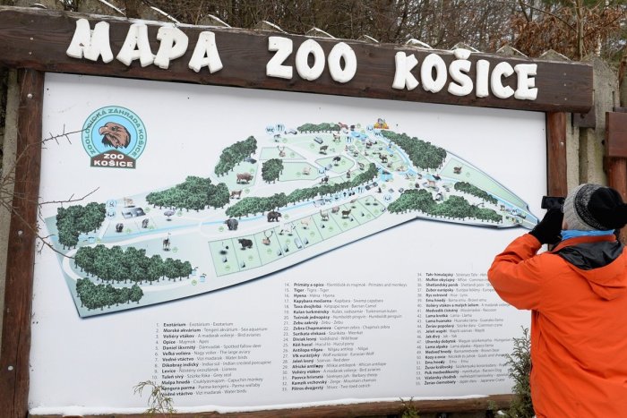Ilustračný obrázok k článku V košickej zoo prijali vzácnu zásielku: Pozrite, aká je ROZKOŠNÁ