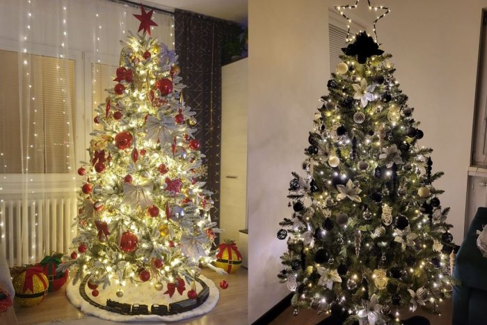 Ilustračný obrázok k článku Vianoce sú za dverami: Takéto krásne stromčeky majú doma Trnavčania, FOTO