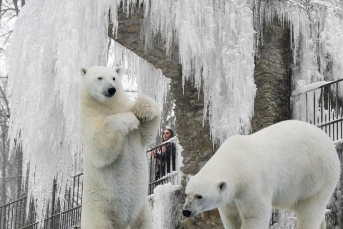 Ilustračný obrázok k článku V minulosti pod ním chovali ľadové medvede. Vodopád v Betliari sa v zime mení na ľadopád, FOTO