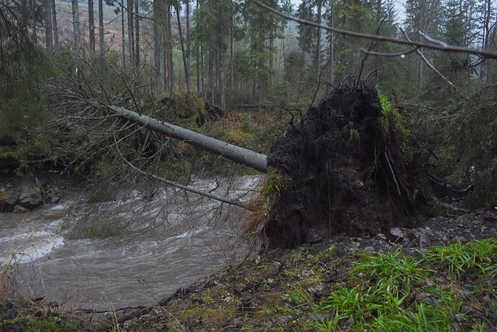 Ilustračný obrázok k článku Tragické sviatky na poľskej strane Tatier: Vietor vyvracal stromy, zomreli najmenej 4 ľudia
