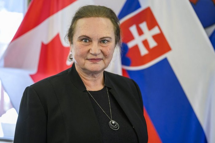 Ilustračný obrázok k článku NEUVERITEĽNÝ príbeh Slovenky: Daniela v Kanade vybudovala národnú CIRKUSOVÚ školu