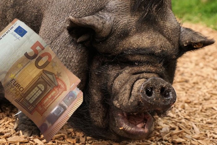 Ilustračný obrázok k článku Pani Jana prišla o 50 eur kurióznym spôsobom: Bankovku jej požulo PRASA