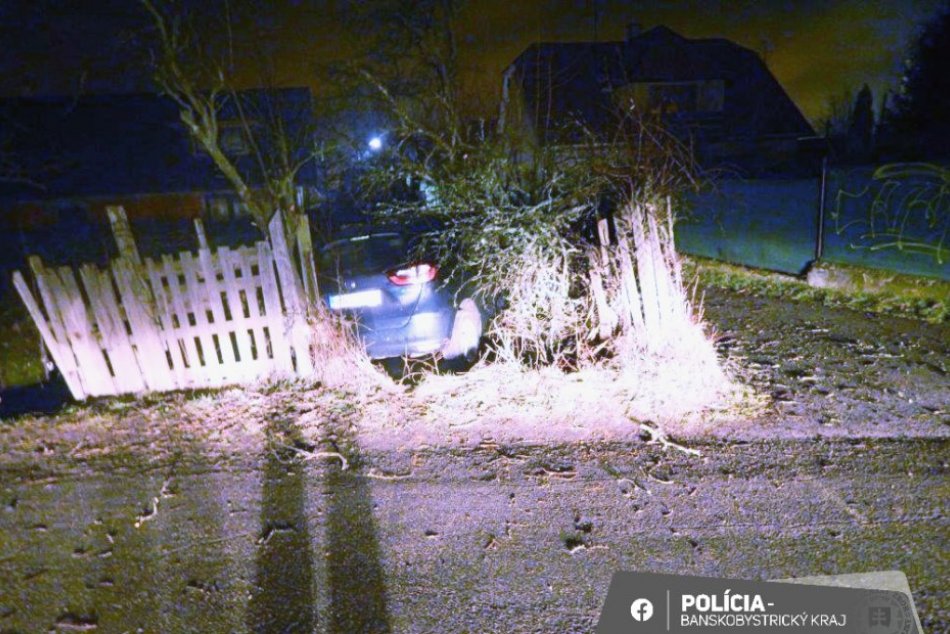 Ilustračný obrázok k článku OPITÝ mladík prerazil plot a skončil v strome: ŠOKUJE však aj ďalšia skutočnosť, FOTO