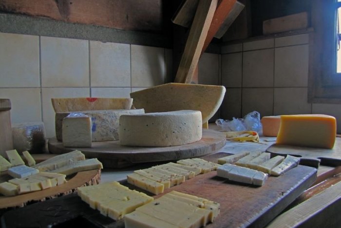 Ilustračný obrázok k článku Obľúbeným DVOM francúzskym syrom hrozí ZÁNIK! Výrobcom dochádza dôležitá ingrediencia