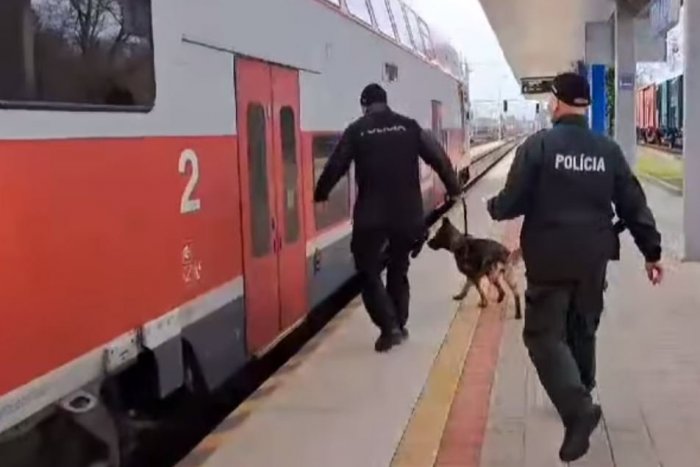 Ilustračný obrázok k článku Vlakovú stanicu v Trnave obsadili psovodi a policajné psy: Čo hľadali? VIDEO
