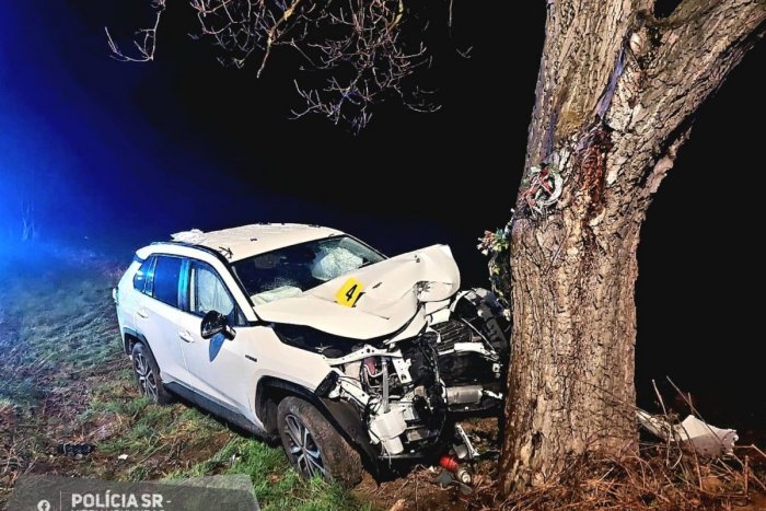 Ilustračný obrázok k článku Tragická nehoda pri Nitre: Vodič neprežil náraz do stromu