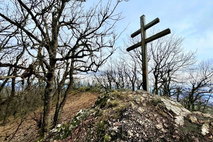 Ilustračný obrázok k článku Cestou na najvyšší vrch Malých Karpát vysadia stromy: Zapojiť sa môžete aj vy