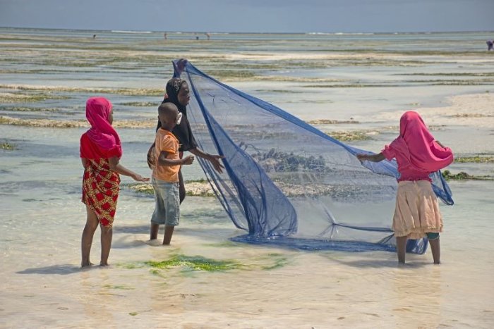 Ilustračný obrázok k článku SMRŤ v dovolenkovom raji Slovákov: Na Zanzibare zjedli korytnačie mäso, zomrelo 8 detí a matka