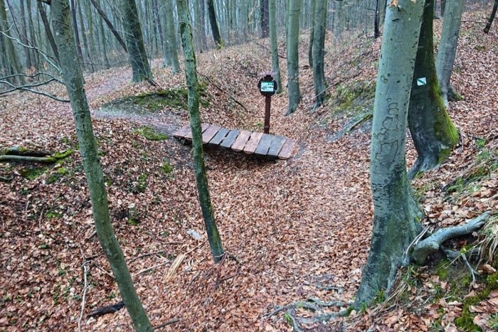 Ilustračný obrázok k článku Skvelý tip pre rodiny s deťmi: Obnovili lesný náučný chodník na Alpinke, FOTO