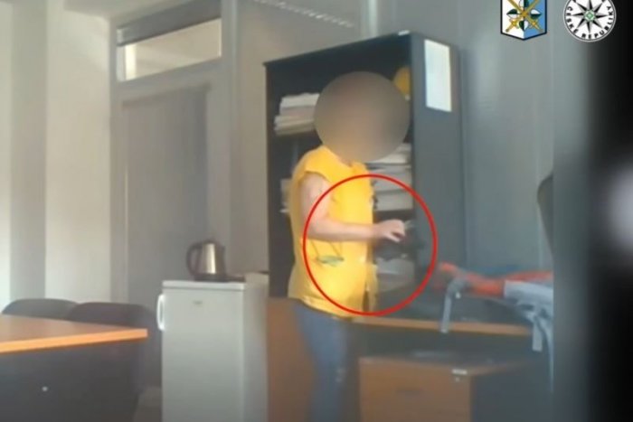 Ilustračný obrázok k článku VIDEO: Kuriózna skrýša! Upratovačka si lup ukryla do VAGÍNY, prezradila ju kamera