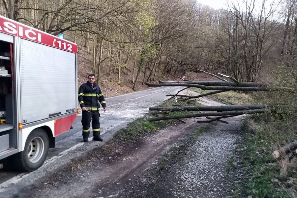 Ilustračný obrázok k článku Vietor v Trnavskom kraji LÁMAL stromy: Na nohách boli desiatky hasičov