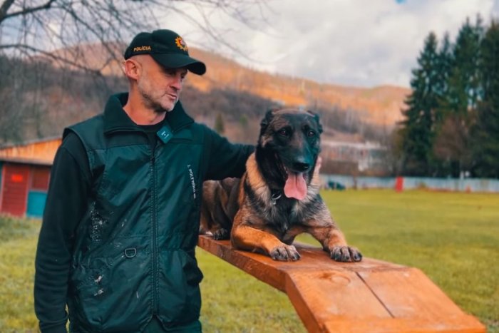 Ilustračný obrázok k článku Hľadá sa NAJLEPŠÍ policajný pes: O vaše HLASY bojuje aj Bystričan Max, VIDEO