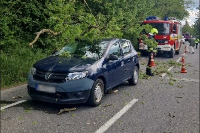 Ilustračný obrázok k článku NEPRÍJEMNOSTI na Devínskej ceste: Na auto tam spadol strom! FOTO