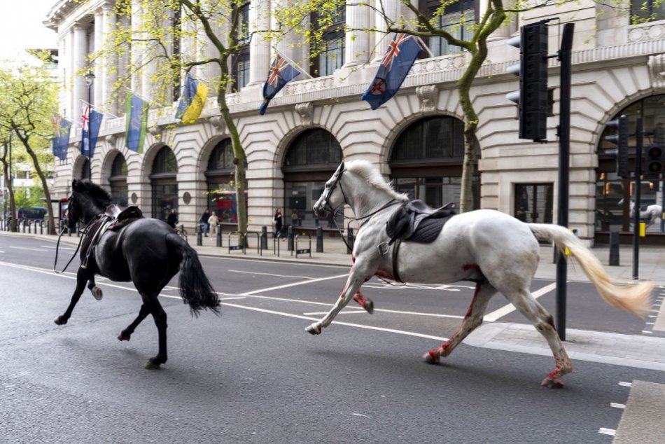 Ilustračný obrázok k článku Ulicami Londýna sa preháňali SPLAŠENÉ kone! Zranili niekoľko ľudí, FOTO