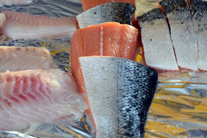 Ilustračný obrázok k článku Milovníci rýb, POZOR: Toto sú druhy, ktorých mäso môže byť zdraviu ŠKODLIVÉ!
