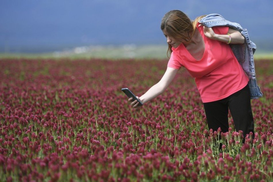 Ilustračný obrázok k článku To miesto vyhľadávajú mnohí nadšenci: Na východe nádherne rozkvitlo purpurové pole, FOTO