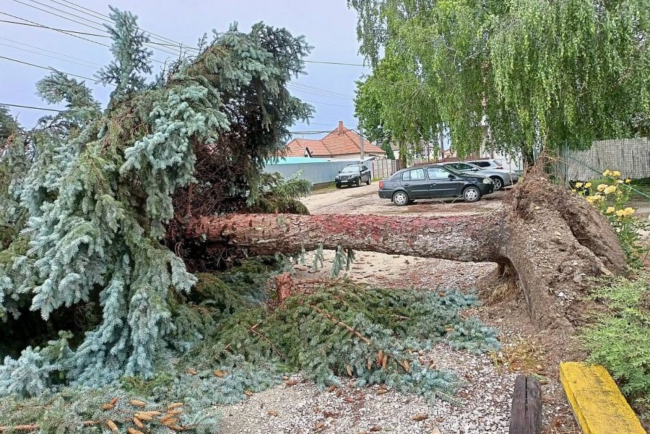 Ilustračný obrázok k článku Popadané stromy aj zatopené domy: Búrky narobili PROBLÉMY aj v Trnavskom kraji