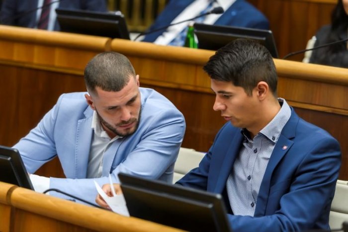 Ilustračný obrázok k článku Denník N sa OSPRAVEDLNIL Smerákom: V satire ich nazval DEBILMI, zvolali kvôli tomu tlačovku