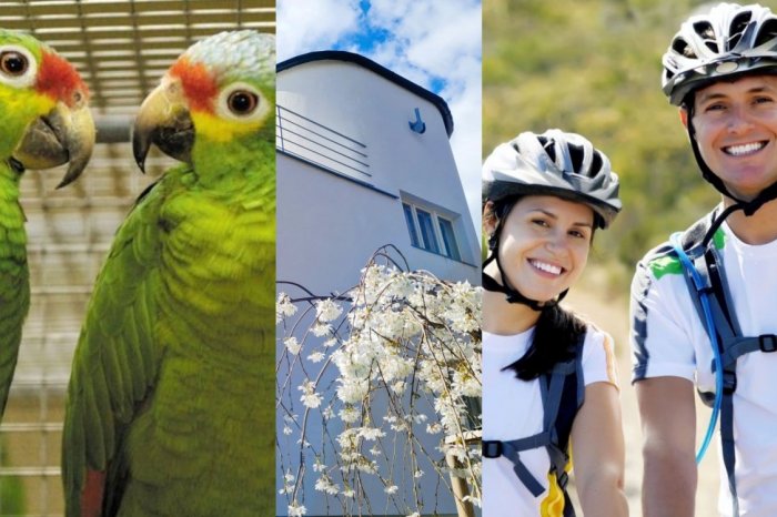 Ilustračný obrázok k článku Tipy na VÍKEND: Komentované PREHLIADKY, burza aj cyklobus