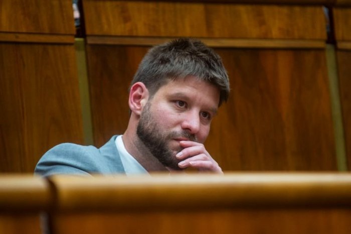 Ilustračný obrázok k článku Michal Šimečka: Nadácia Milana Šimečku nemá NIČ spoločné so mnou ani S OPOZÍCIOU