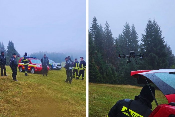 Ilustračný obrázok k článku V lese ZMIZOL ďalší hubár: Muža našli podchladeného a dehydrovaného, FOTO